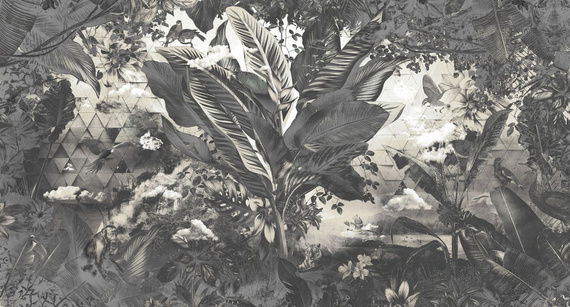 Fototapeta Bongo Congo