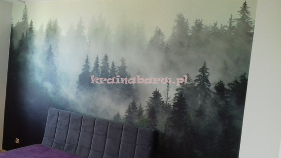 Fototapeta 13026 Las i Mgła