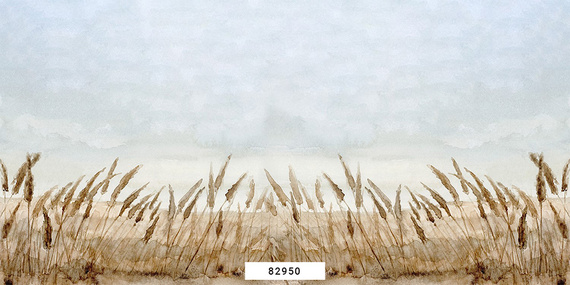 Fototapeta 82950