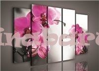 Obraz na płótnie zestaw PS421S12 RÓŻOWA ORCHIDEA