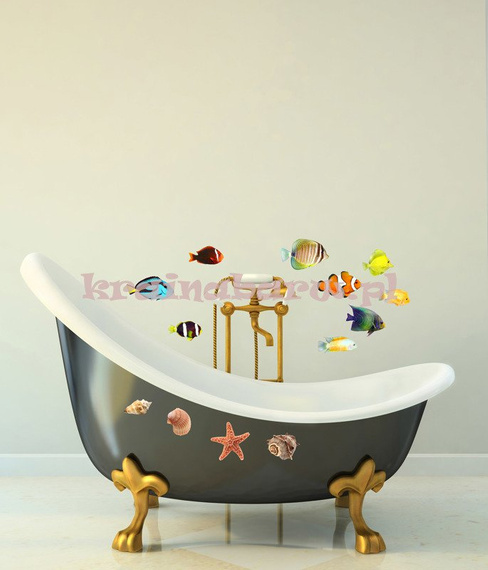 Naklejki na ścianę ROZGWIAZDY I MUSZLE SNC365WD