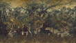 Fototapeta Maison Muance