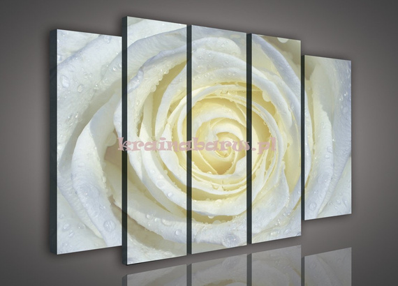 Obraz na płótnie zestaw PS206S12 BIAŁA RÓŻA