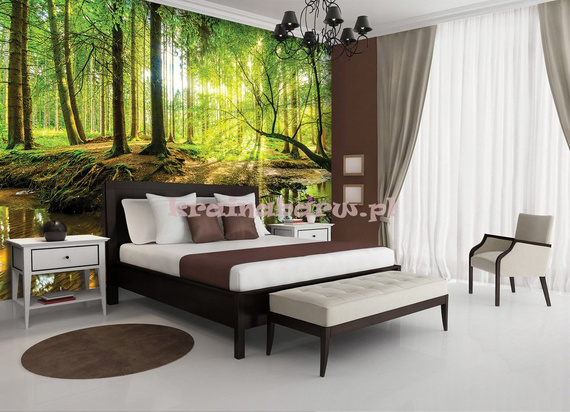 Fototapeta 10513 LEŚNY STRUMIEŃ