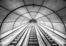 Fototapeta 12643 Schody