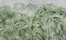 Fototapeta tropikalny las palmy Sagitta