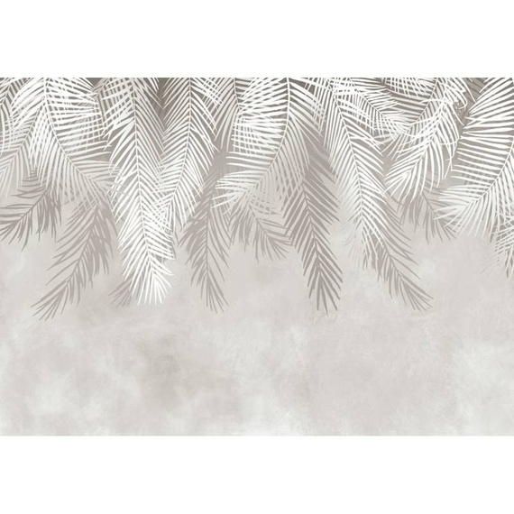 Fototapeta 13934 - Liście Palmy Beżowe Naturalne