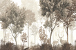 Fototapeta Tajemnicza Natura