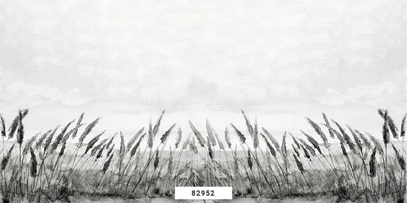 Fototapeta 82950