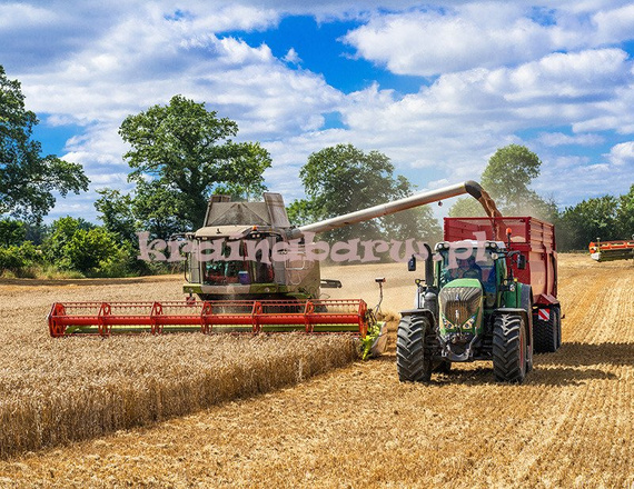 Fototapeta RE0800010 TRAKTOR I KOMBAJN