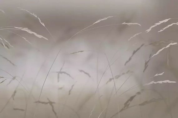 Fototapeta Glamora Soffio