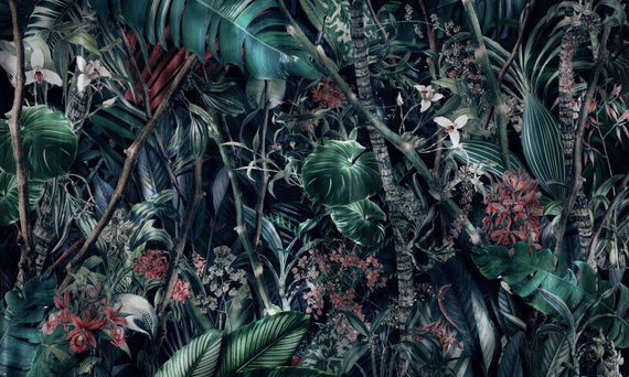 Tapeta Artystyczna Amazonia