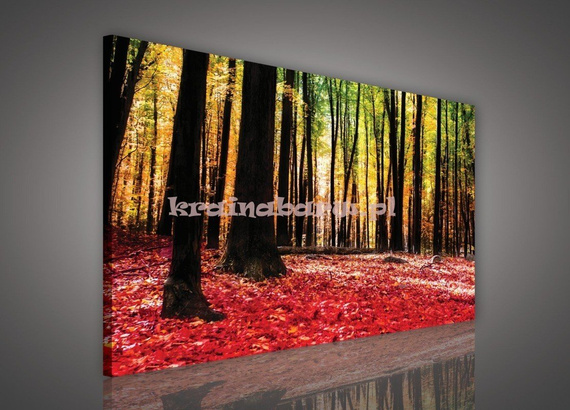 Obraz na płótnie PP499 Kolorowy las