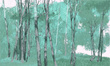 Fototapeta artystyczna Firen drzewa las 