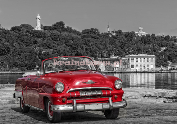 Fototapeta 11859 AUTO