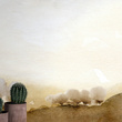 Fototapeta 82920