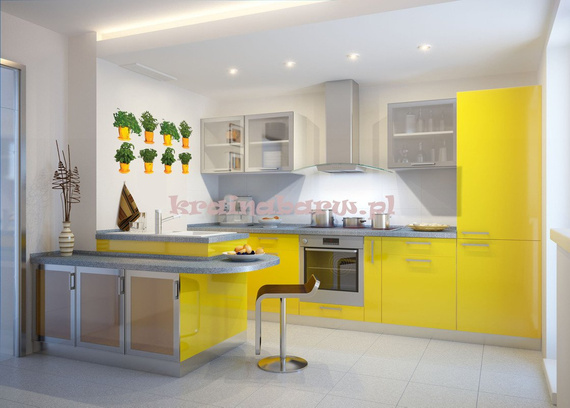 Naklejki na ścianę ZIOŁA W POMARAŃCZOWYCH DONICZKACH  SPN50TD