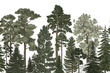 Fototapeta Scandinavian Bellewood