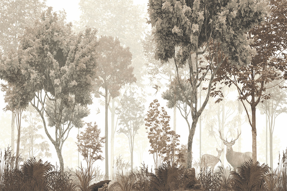 Fototapeta Tajemnicza Natura