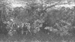 Fototapeta Maison Muance