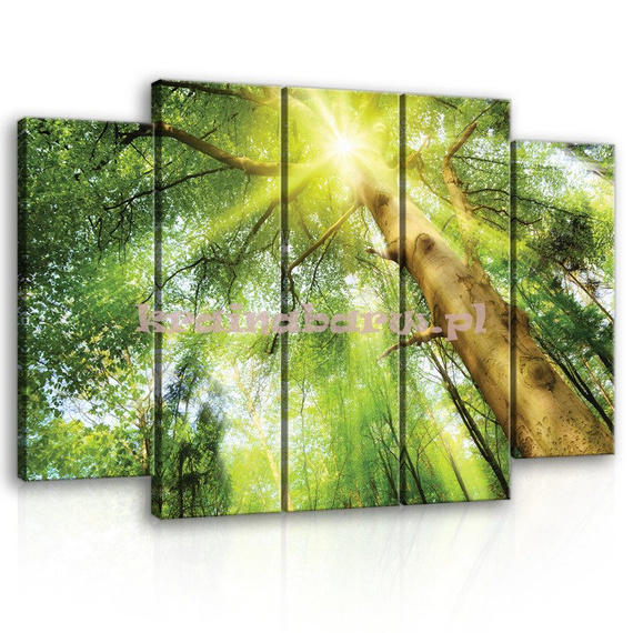 Obraz na płótnie zestaw PS10112S12 DRZEWA