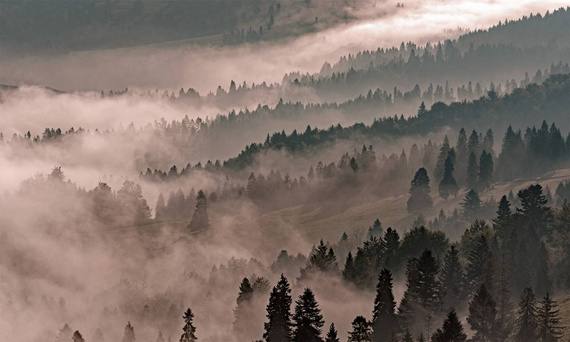Tapeta Artystyczna   Morning in the mountains 