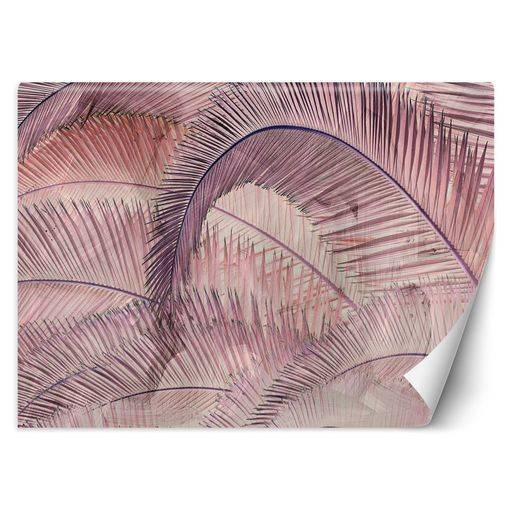 Fototapeta Róż Liście Dżungla