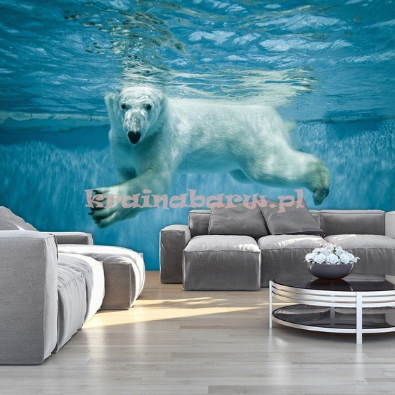 Fototapeta 12621 Niedźwieć Polarny