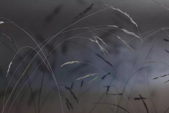 Fototapeta Glamora Soffio