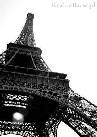 Fototapeta FM0308 Tour Eiffel en perspective (MyPictures)