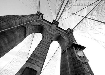 Fototapeta FM0461 Brooklyn Bridge Wide Angle 3 (Jose Gil)